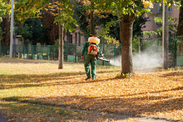 Best Commercial Pest Control Services  in Hamtramck, MI