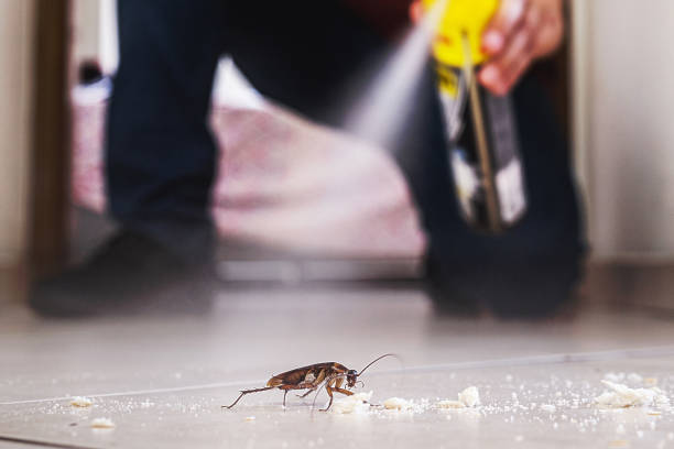 Best Pest Removal Services  in Hamtramck, MI